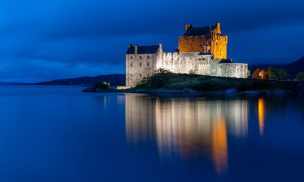 Discover Scotland’s Events: What’s Happening Today, November 19, 2024