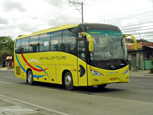 Why Bus Tours Are in High Demand: The Perfect Travel Experience