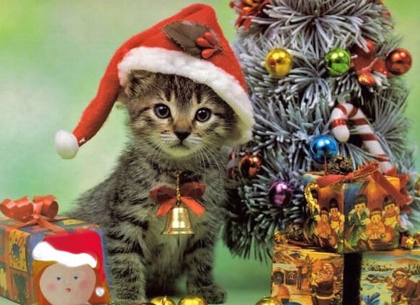 What to do on Christmas Eve?