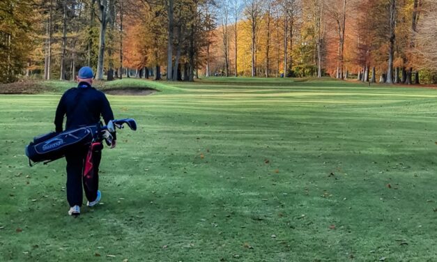 The QHotels Collection: A Year in Full Swing