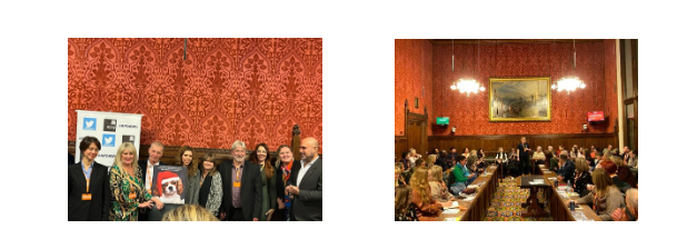 Unsung Heroes in 2024 at the All Party Parliamentary Dog Advisory Welfare Group –  Guest Speaker Yellow Dog UK’s Alison Gibson-Stark