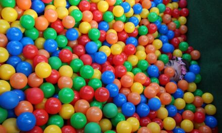 Why Kids’ Play Centres Have Soared in Popularity in Recent Years