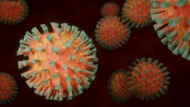Rising Cases of HMPV in the UK: What You Need to Know and How to Protect Yourself