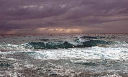UK Prepares for the Impact of Storm Éowyn: What You Need to Know