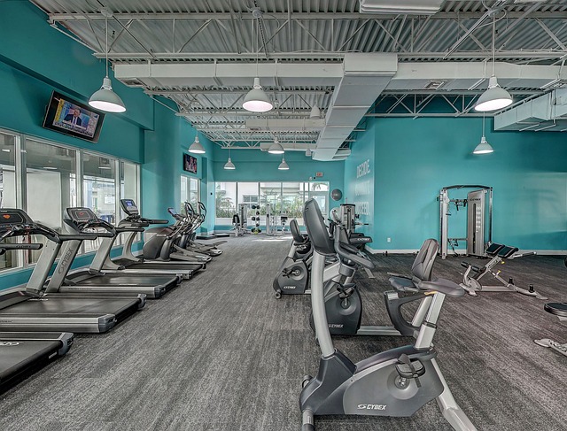 Discover the Best Gyms in the Midlands for Your Fitness Goals