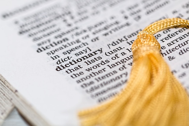 Understanding the Term Holies: Its Meanings and Contexts