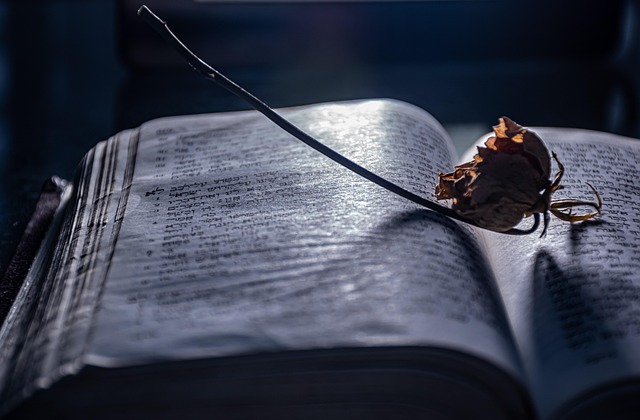 storytelling photo