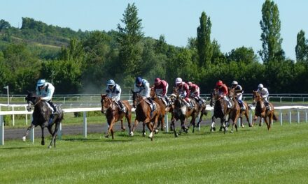 Horse Racing Preview – Friday, February 7, 2025