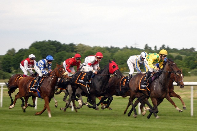 Horse Racing Preview – Thursday, February 13, 2025