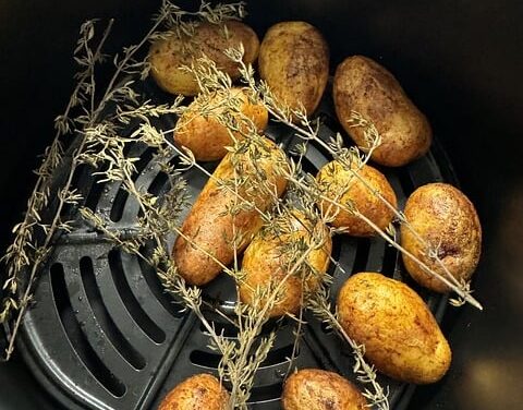 The Air Fryer Revolution: Current Trends and Essential Insights