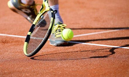 Andy Murray Coaching Novak Djokovic: Rumors, Possibilities, and Impact on Tennis
