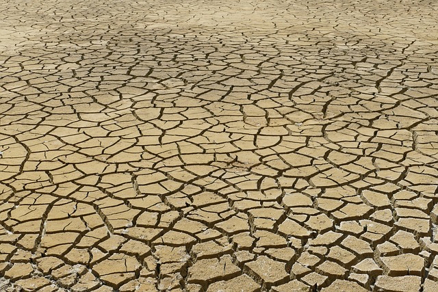 UK’s Climate Change Challenges and Progress: A 2025 Update