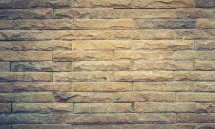 Wall Panelling – A Big Trend for 2025: The Ultimate Guide