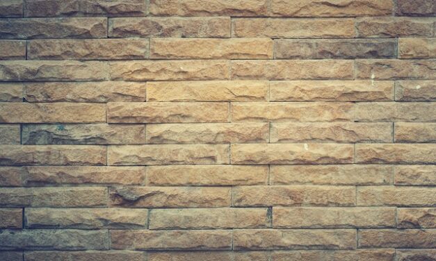 Wall Panelling – A Big Trend for 2025: The Ultimate Guide