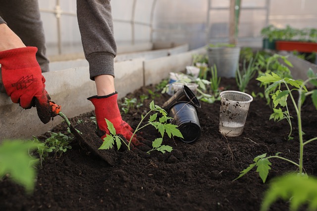 How to Get Your Garden Ready for Summer