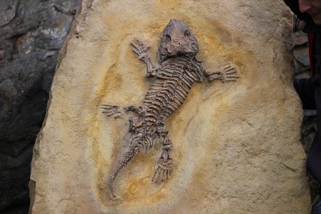 Discover Charmouth Beach: A Fossil Hunter’s Paradise on the Jurassic Coast