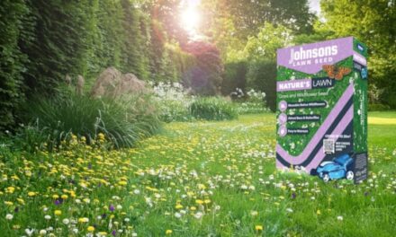 The year of rewilding and the importance of wildflower habitats in the garden