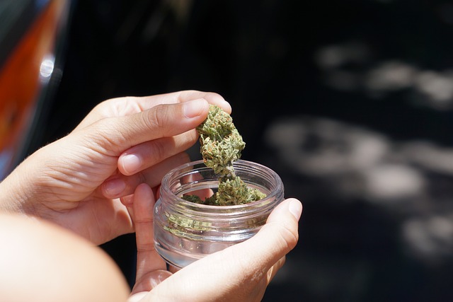 One in four in the North-East unaware of medical cannabis and its uses