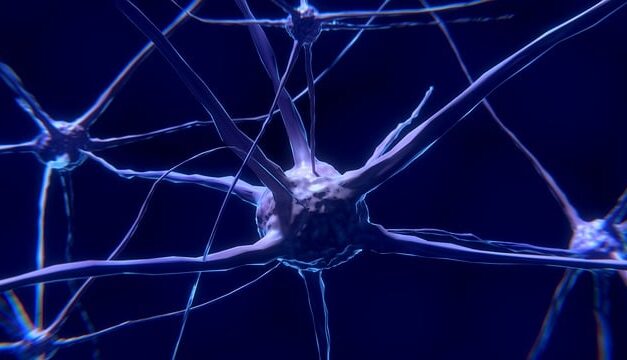 Make May Purple: Action on Stroke Month 2025