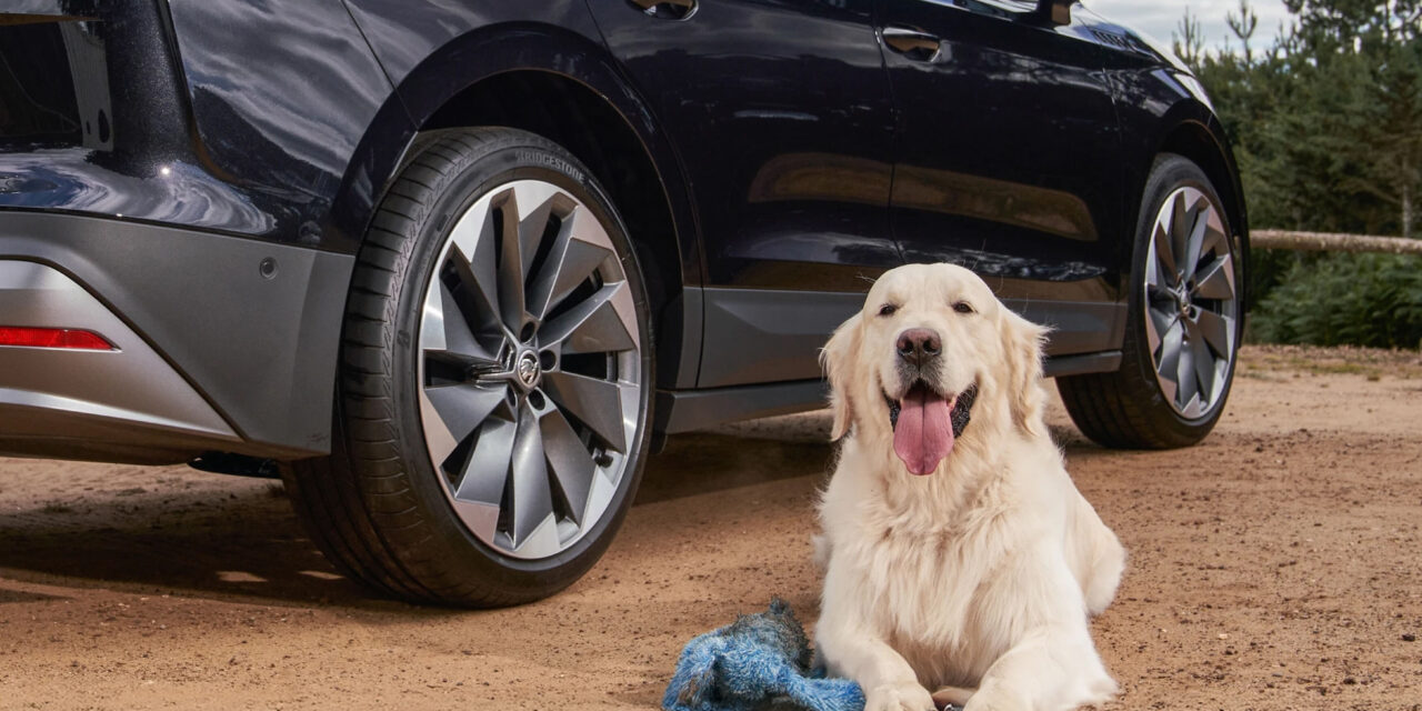 No bones about it – Škoda Enyaq named Best in Show for dog owners by Autotrader readers
