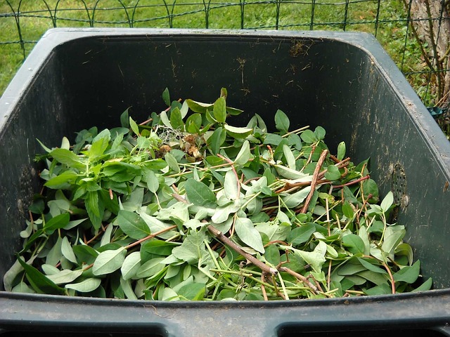 Free Tree Shelter Recycling across the UK
