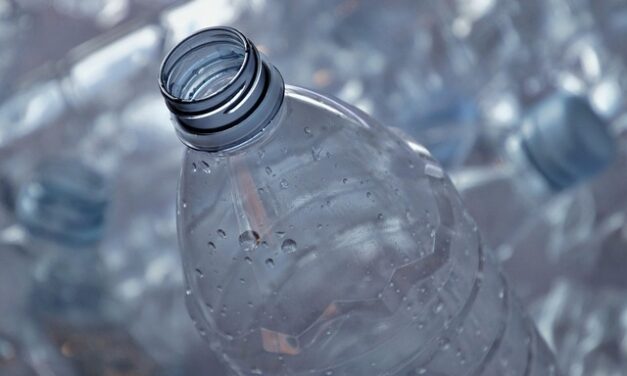 Plastic Free July 2025: A Global Movement for a Greener Tomorrow