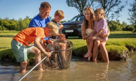 Volvo Car UK teams up with the Eden Project and wildlife expert Steve Backshall to launch Roadside Nature campaign