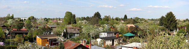 National Allotments Week 2025: Celebrating Britain’s Beloved Green Spaces