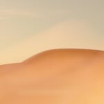 Save the date: on 21 January we will reveal the new Volvo EX60