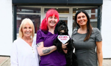 HOW A GARAGE SIDE HUSTLE BECAME A DOG GROOMING EMPIRE!