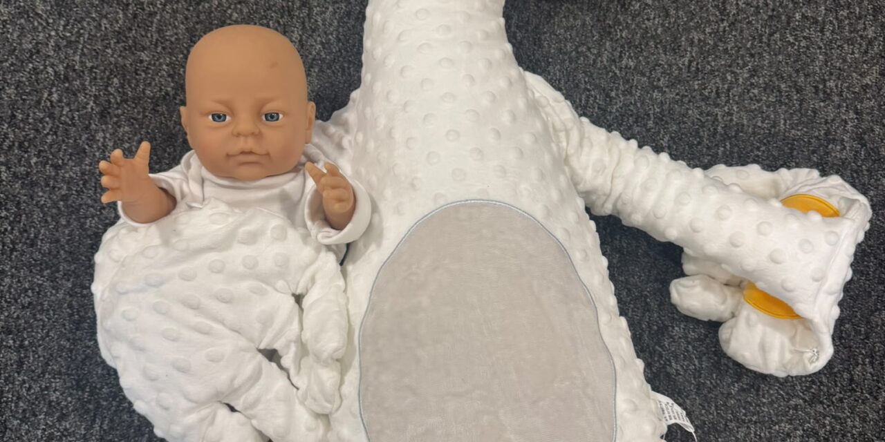 HIDDEN DANGERS OF BABY SLEEP AND FEEDING PRODUCTS